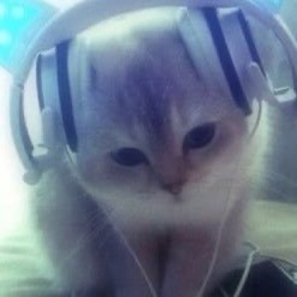 Poshmark profile picture for @patronizing